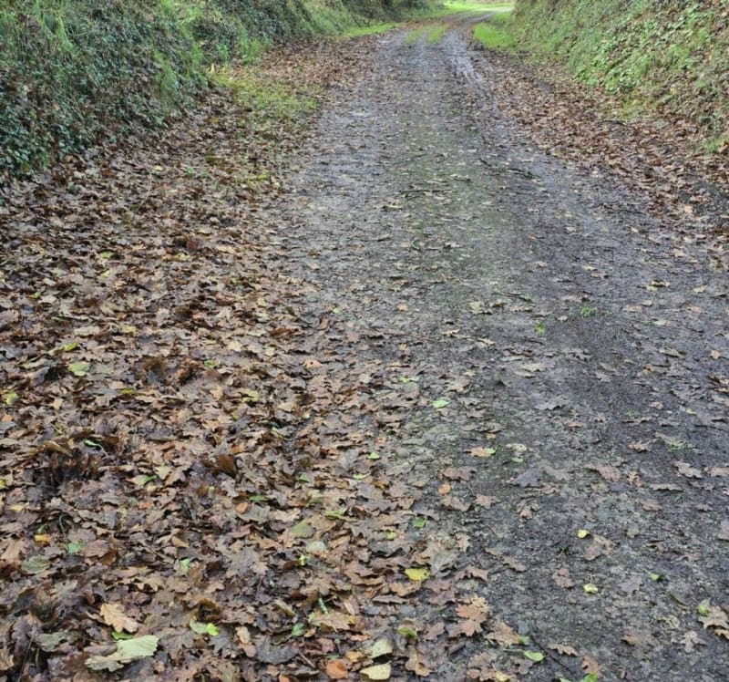 Circuit campagne de Plabennec - Plabennec