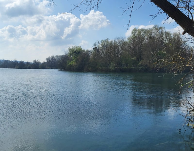 Balade autour des étangs - Villeneuve-sur-Yonne