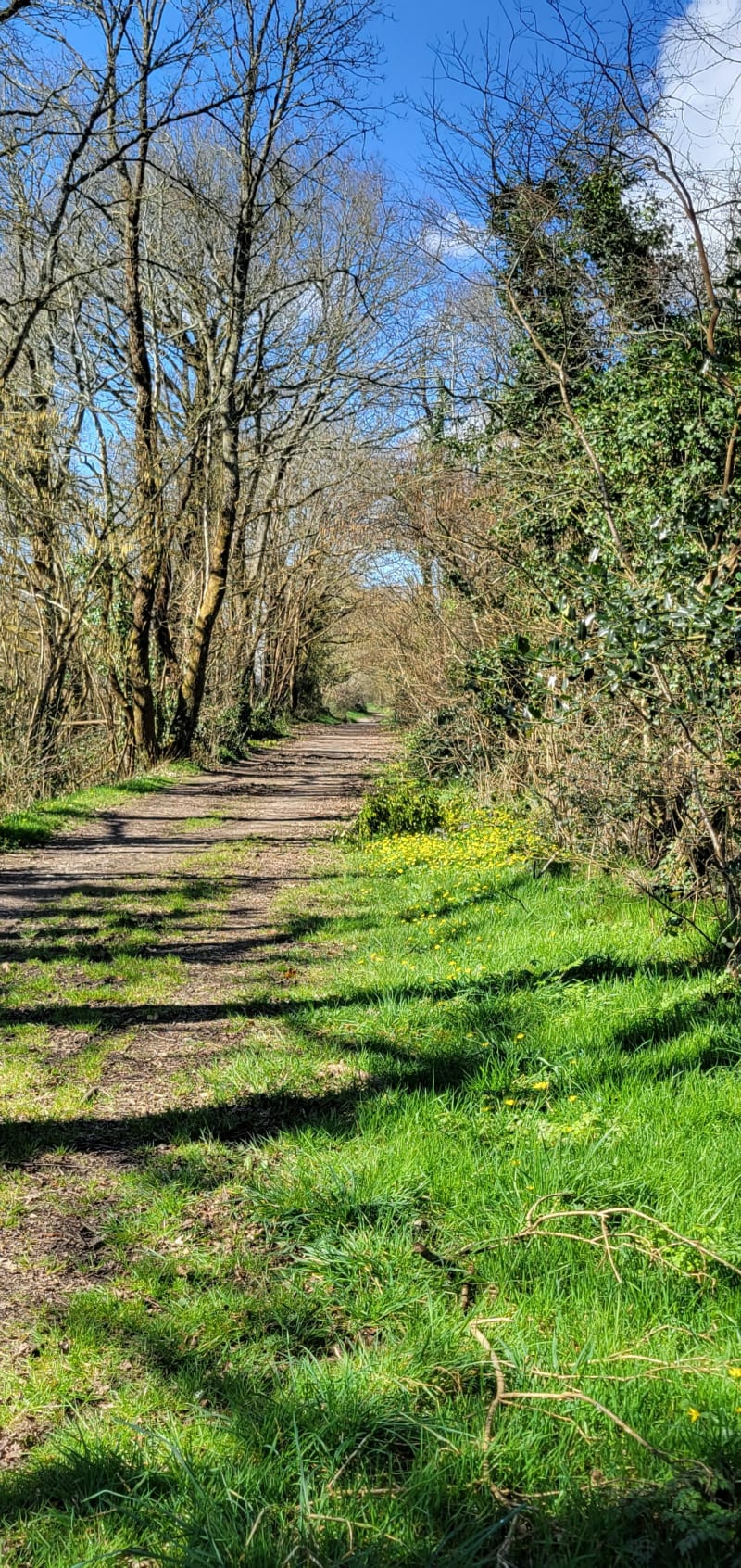 Treillières par la voie verte et les coteaux du Gesvres - Treillières