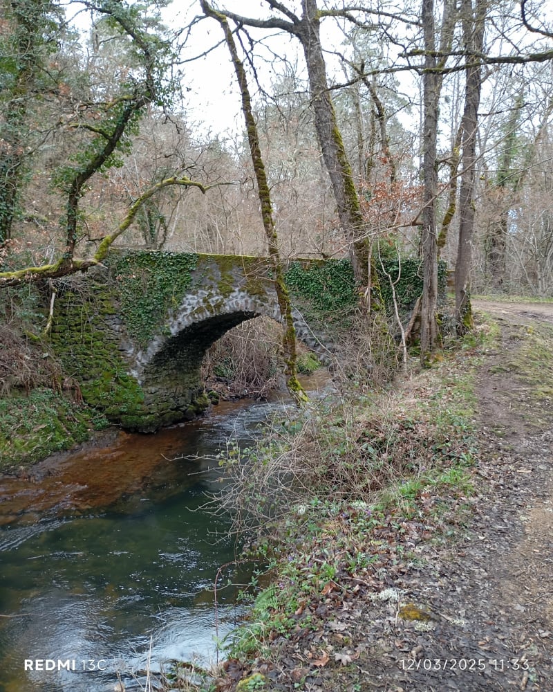 Saint-Diéry ses alentours et la  roche aux Fées - Saint-Diéry