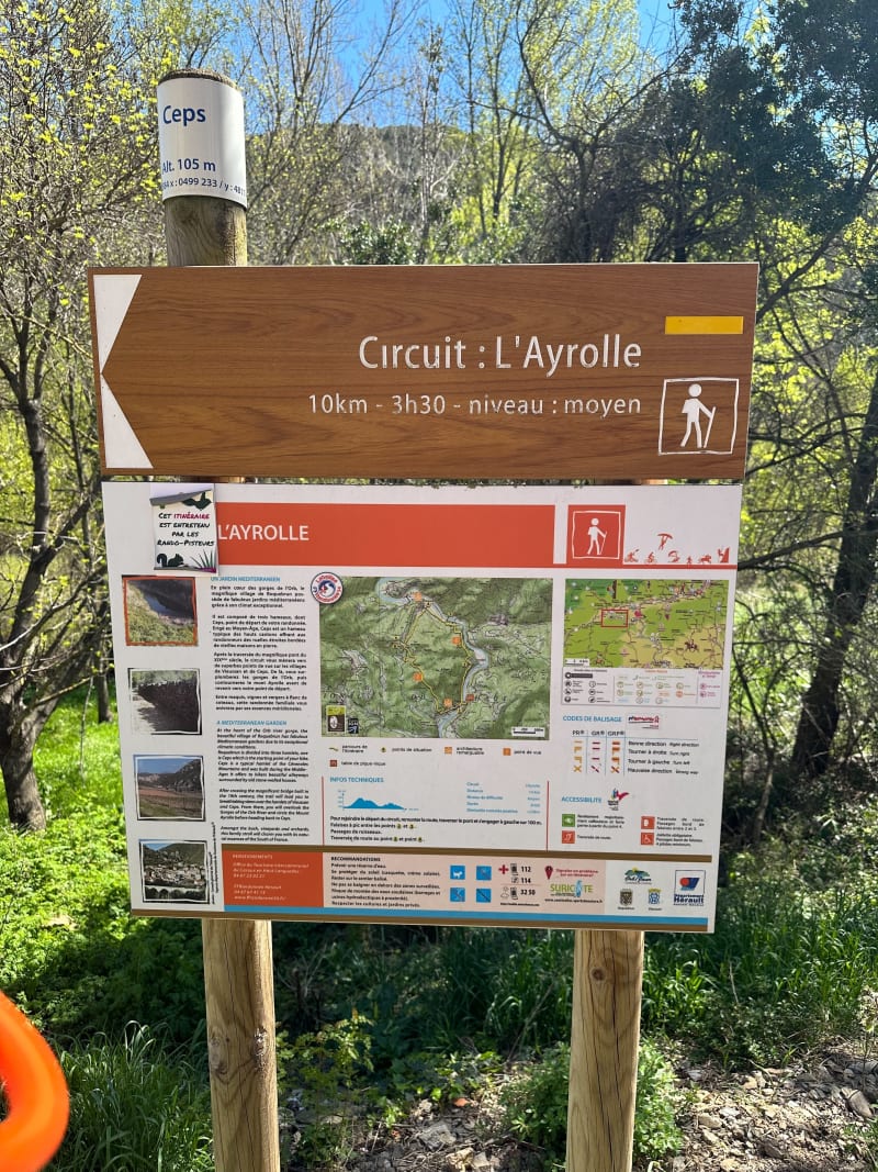 L’Ayolle Ceps - Roquebrun