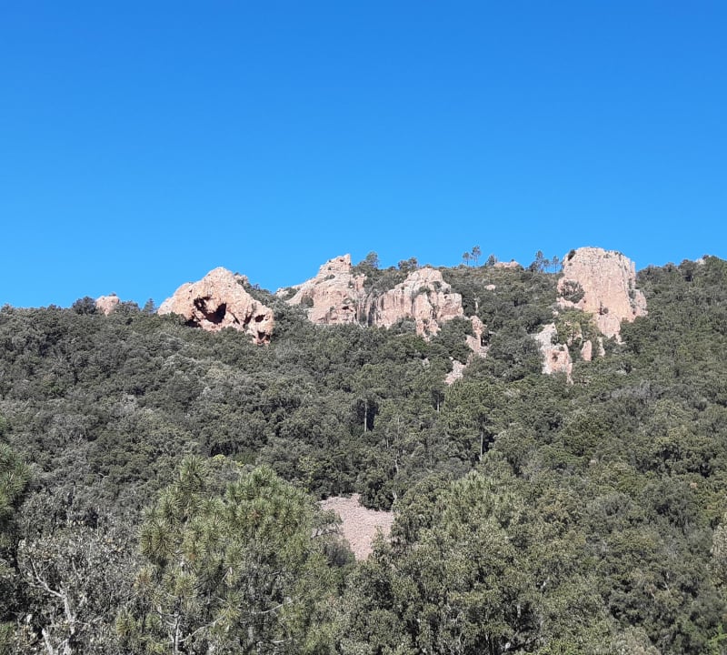 Maison forestiere duchesse - Fréjus