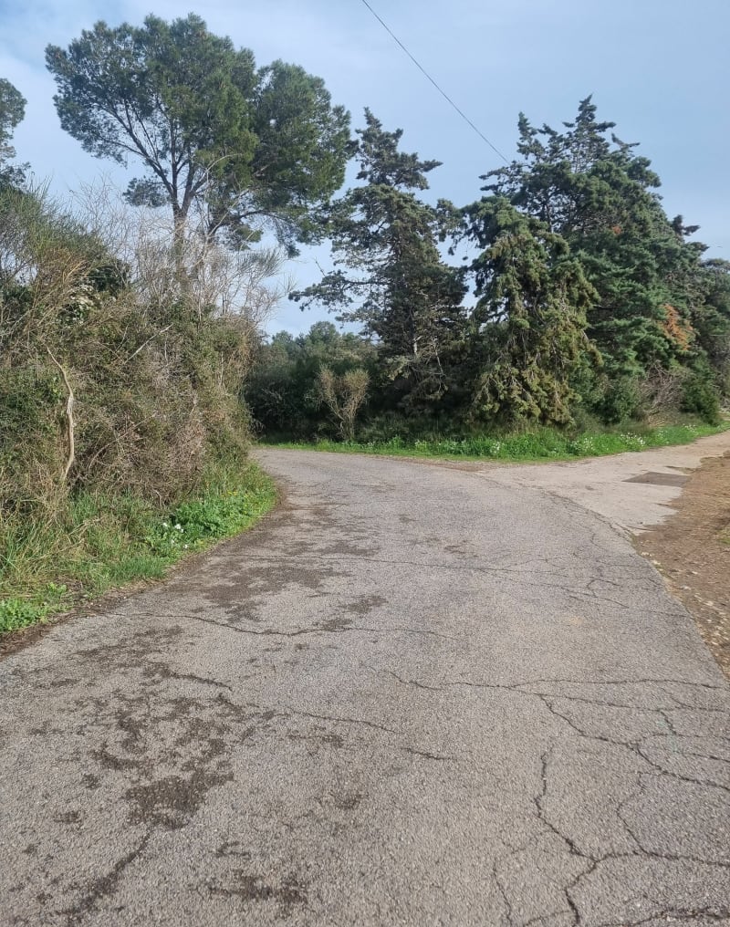 Promenade autour de Vic-la-Gardiole par les Cresses - Vic-la-Gardiole