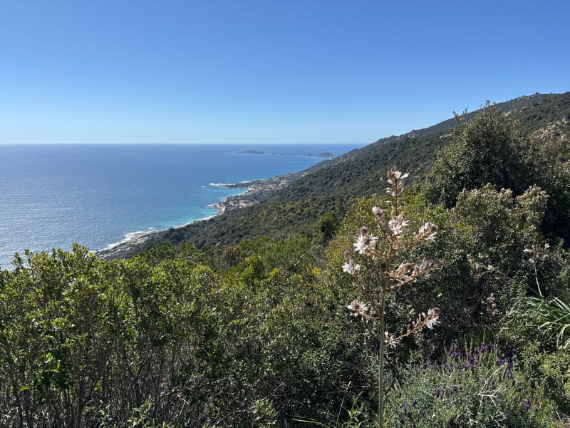 Les crêtes à Ajaccio - Ajaccio
