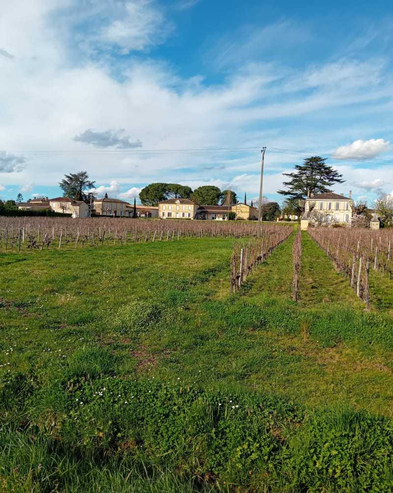 Belle balade autour de Vignonet par Lavagnac - Vignonet