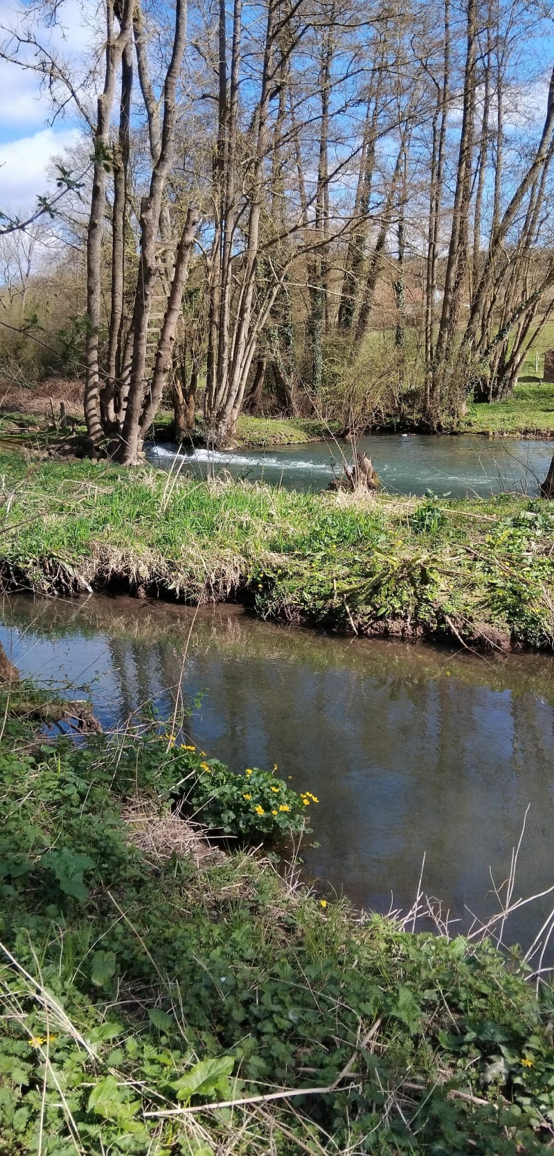 Rivières et forêt à Croisy sur Andelle - Croisy-sur-Andelle