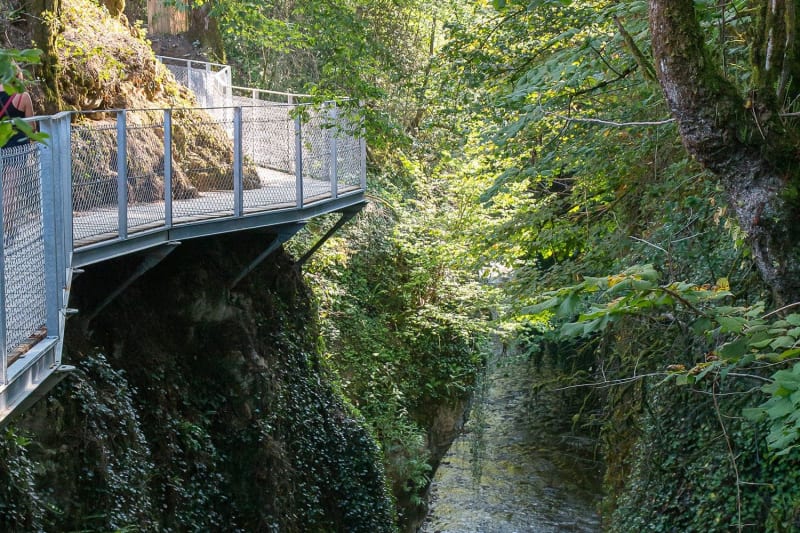 Randonnée gorges du Sierroz : passerelle accrochée à la roche au-dessus d'un canyon végétalisé