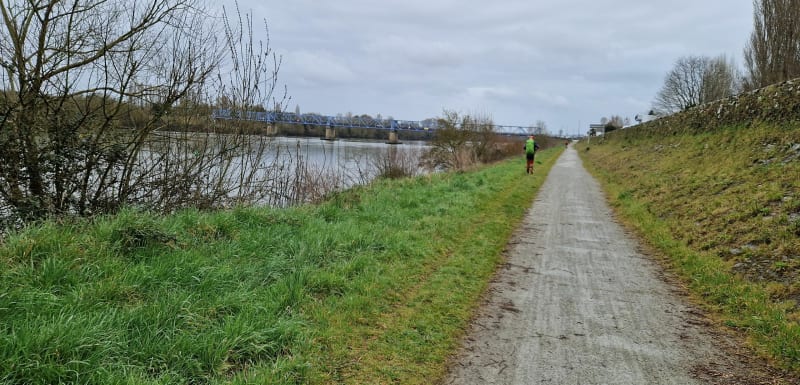 Bord de Loire à Saint Sébastien sur Loire - Saint-Sébastien-sur-Loire