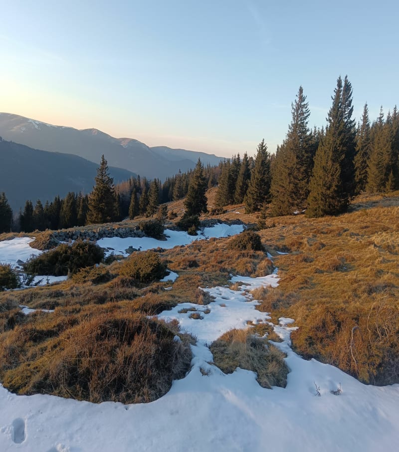 Sommet du Petit Ballon - Linthal