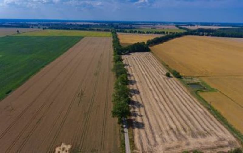 Spokojne wybieganie - Kobylnica