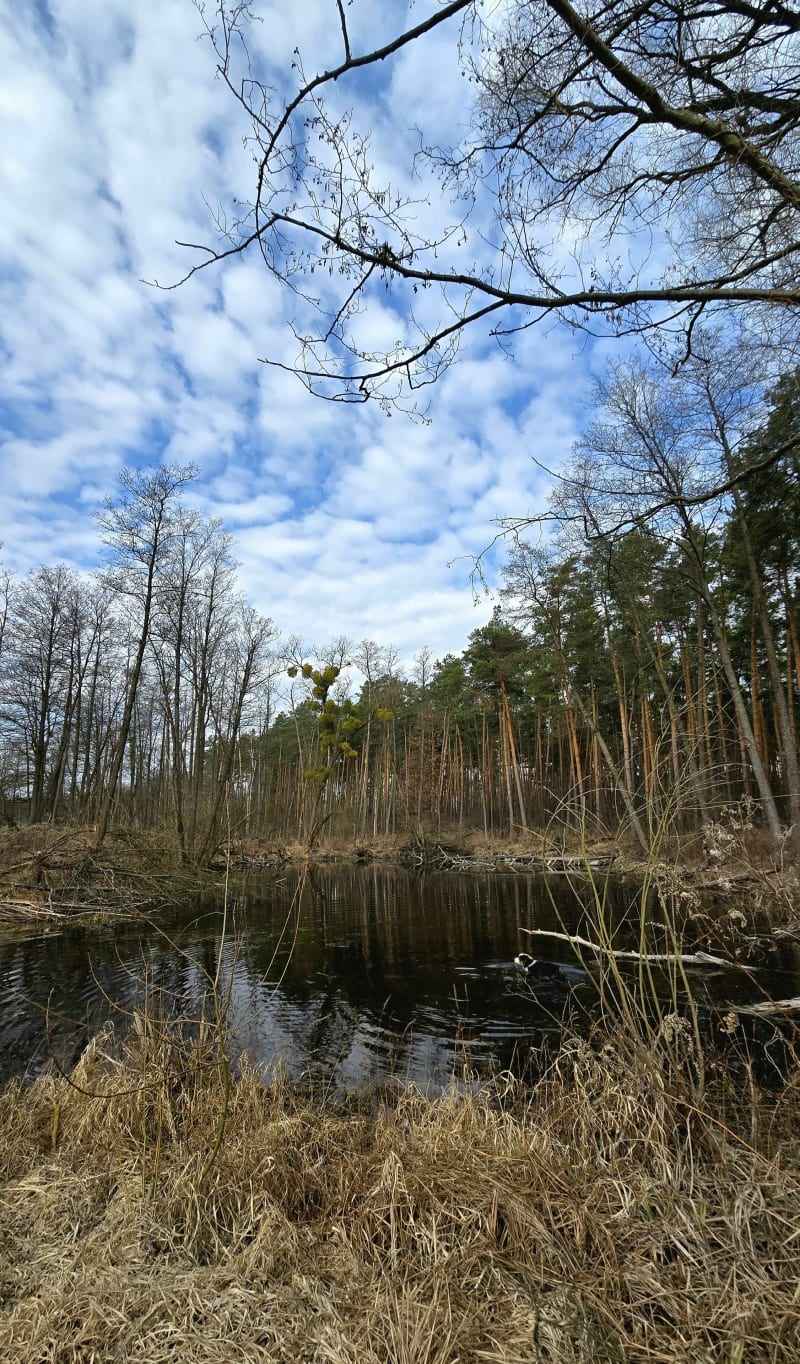 Kampinoski Park Narodowy, Karczmisko - Truskaw