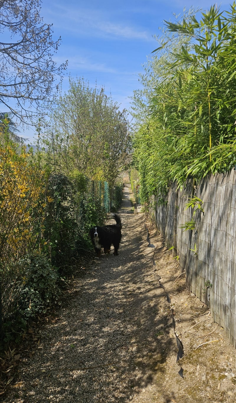 Balade entre la petite ville de Dardilly et ses bois - Dardilly