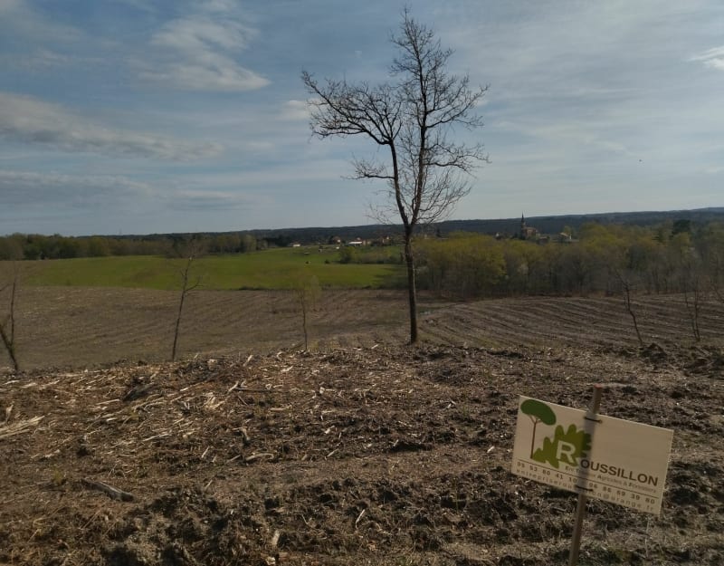 Rando sentier du sanglier - Saint-Georges-Blancaneix