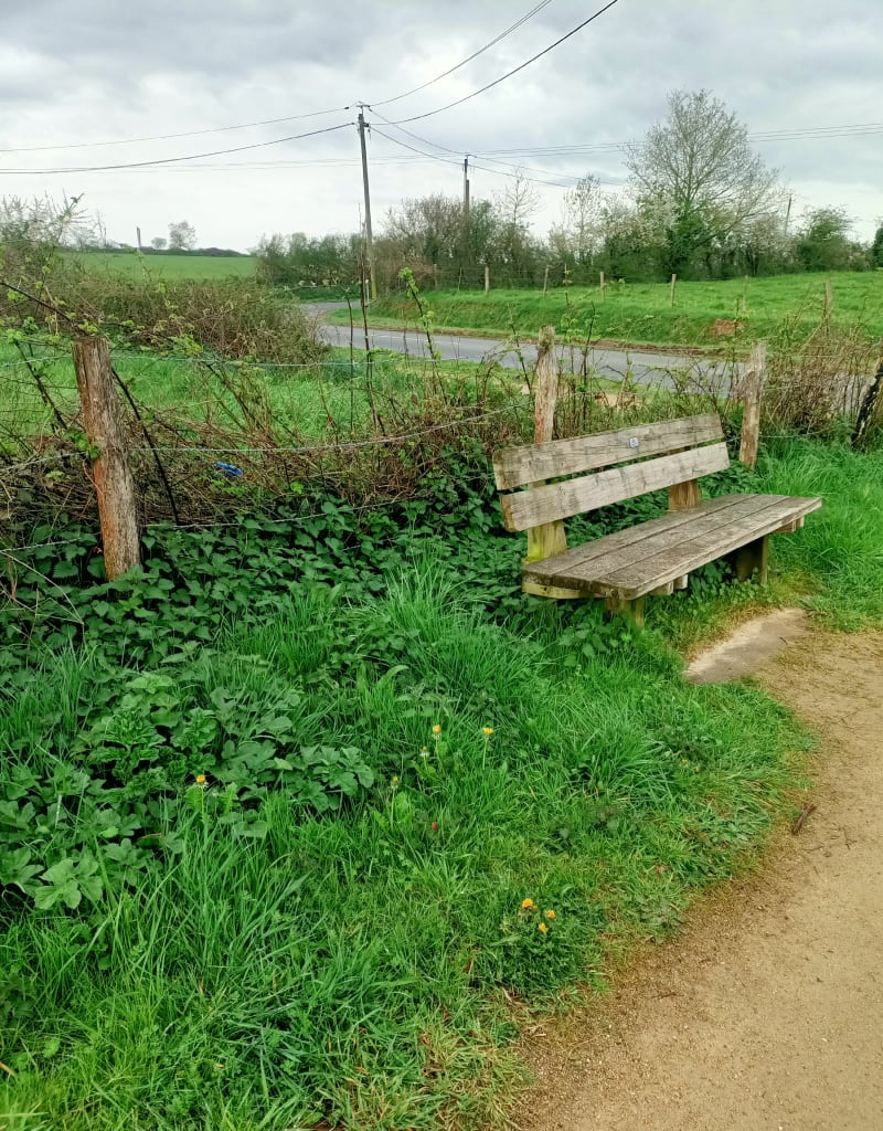 Balade de la croix verte à Saint-Macaire-en-Mauges - Sèvremoine