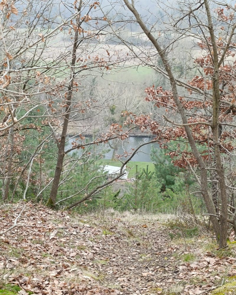 Forêt Anet et la Robertière - Abondant