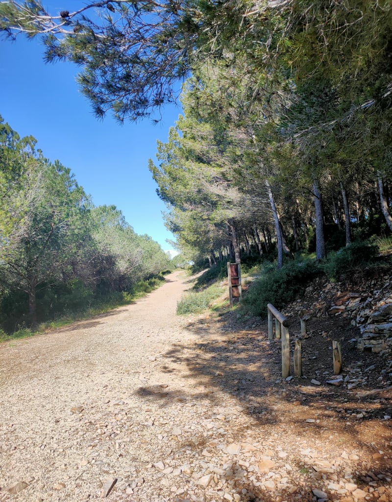 Parcours Sportif de Pignan et Capitelle du Pioch des Montres - Pignan