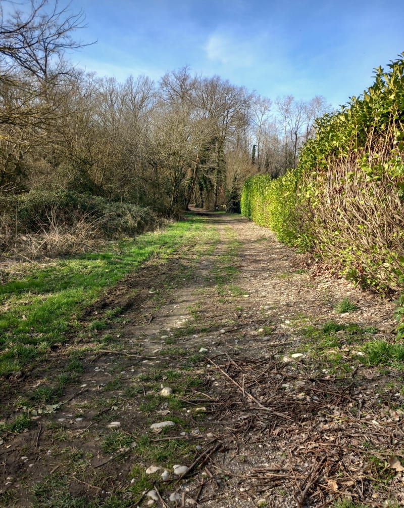 Charvieu-Chavagneux, par le Bois des Franchises - Charvieu-Chavagneux