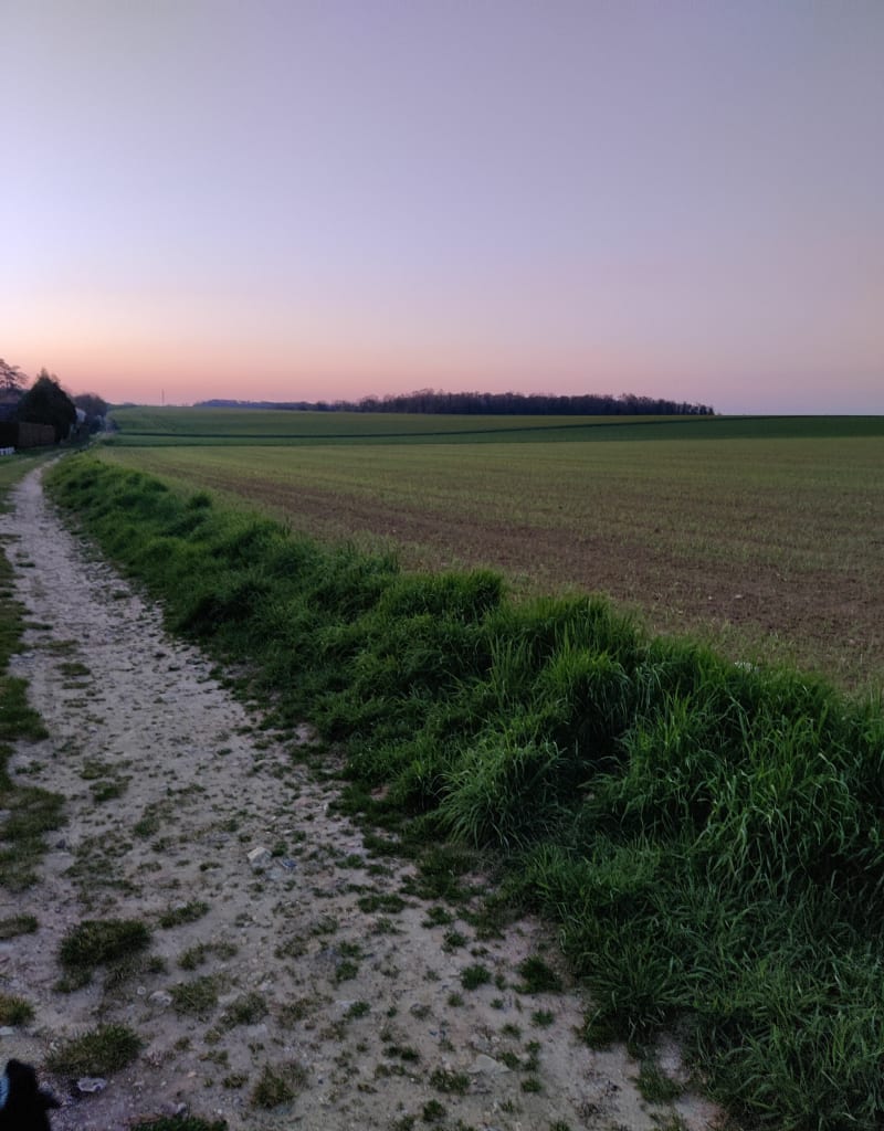 Magnanville par les champs - Magnanville