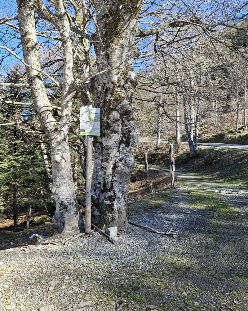 Balade au Pic de Soulaing - Arette