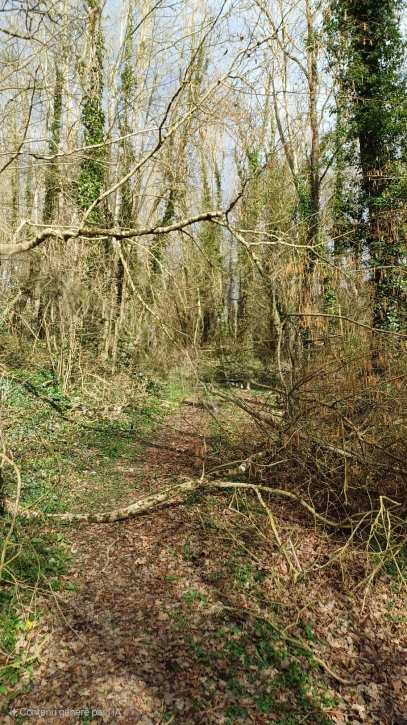 La Vieille-Lyre, par le Mesnil - La Vieille-Lyre
