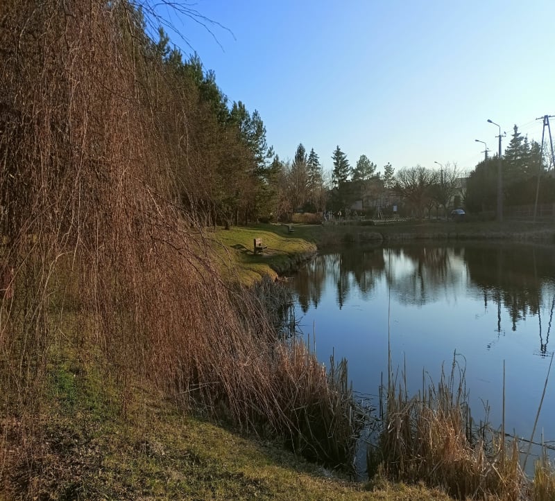Góry pętla - Płock