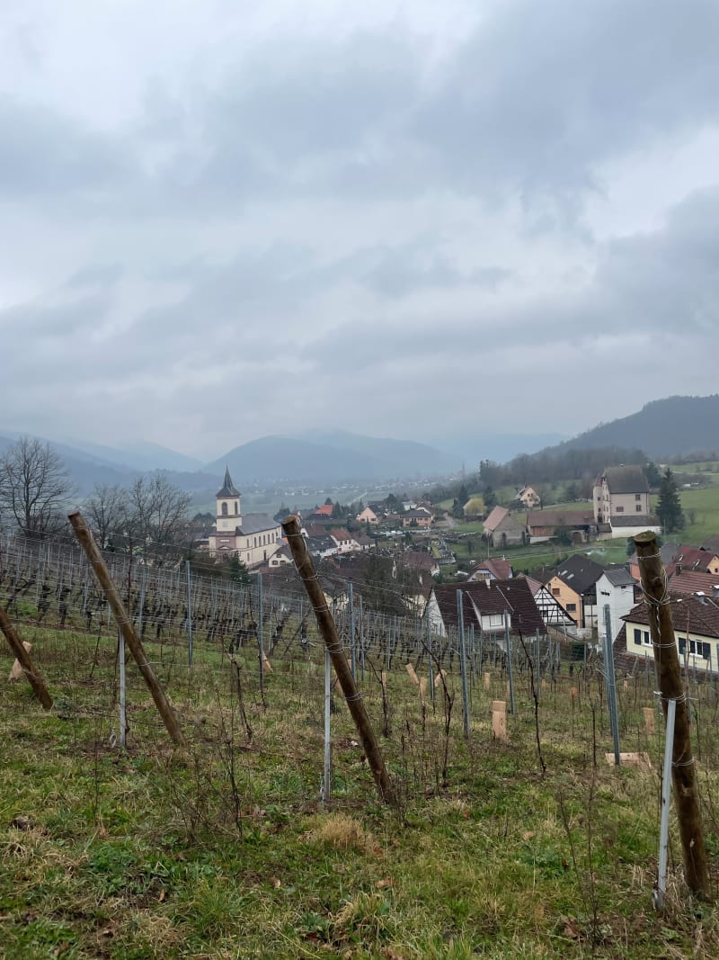 Au dessus de Walbach par Nettery - Walbach