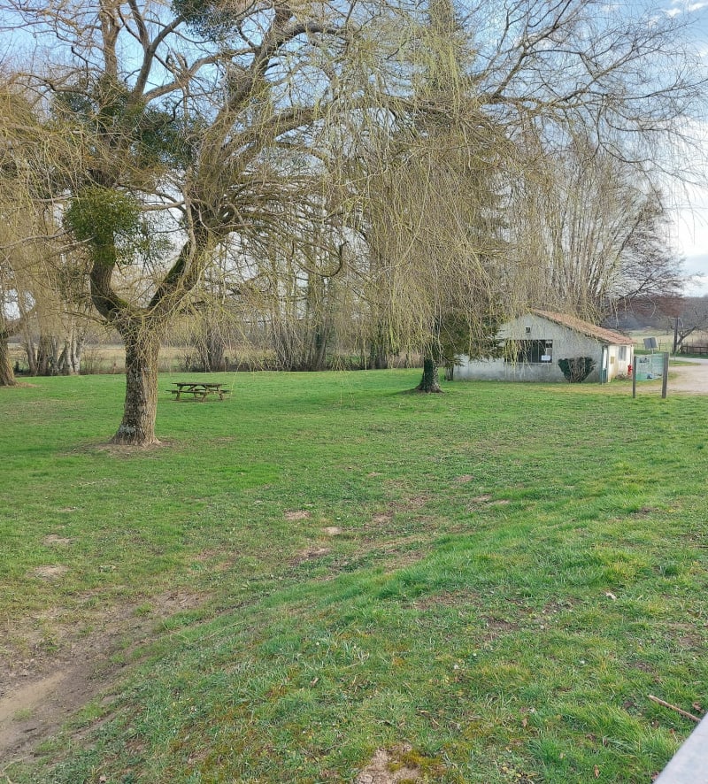 Dans les bois de Soumaintrain - Soumaintrain