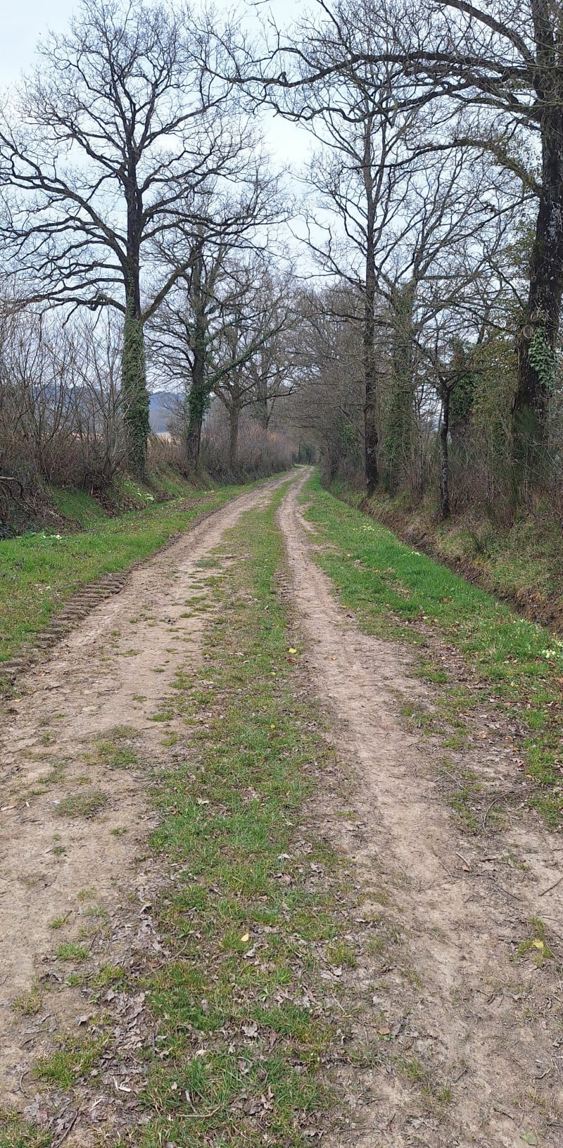 Circuit des Regretis St M'Hervé - Saint-M'Hervé