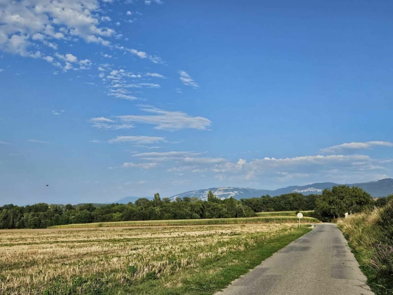 Balade dans les champs entre Viry et Chênex - Viry