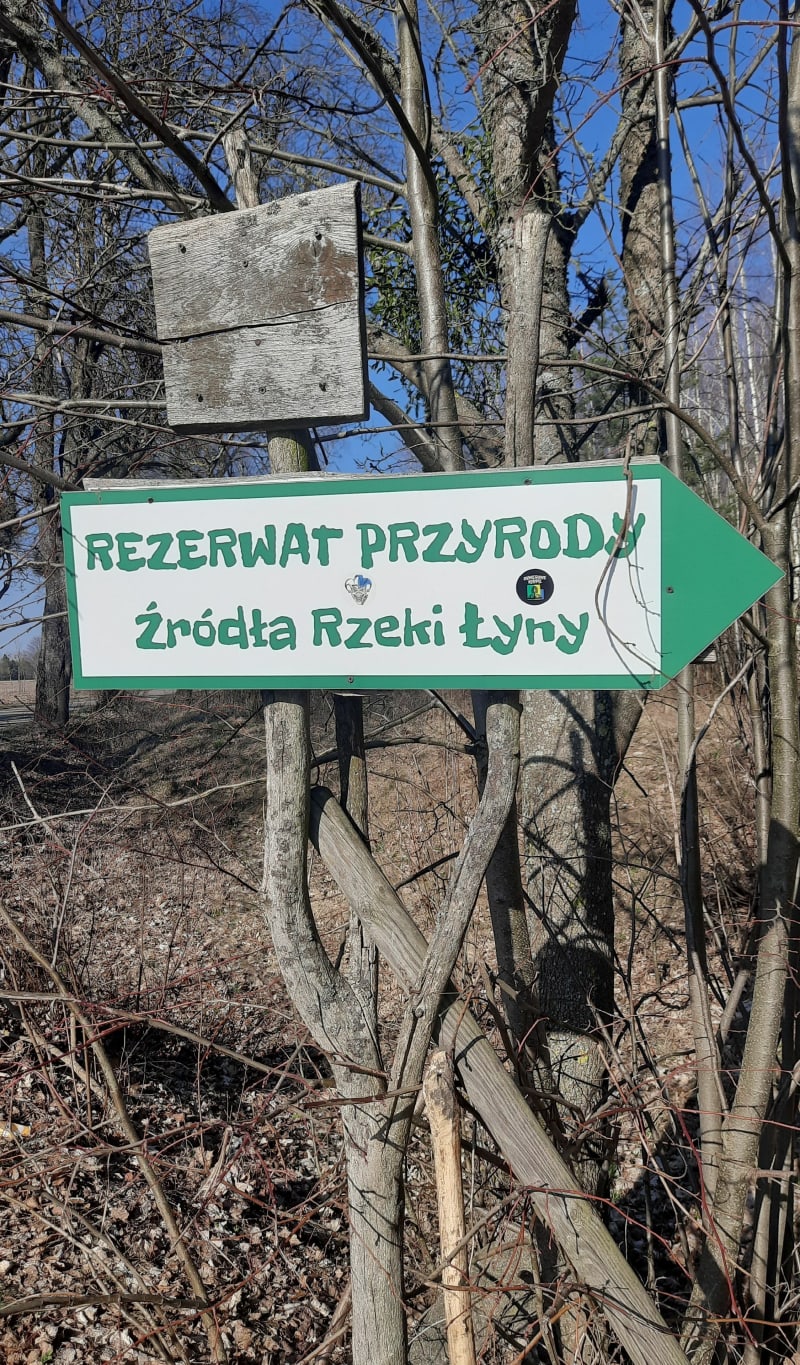 Źródła Łyny - Wólka Orłowska