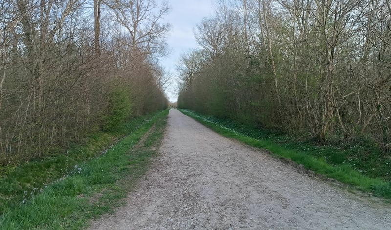 Entre bois et champs à Fontaines - Fontaines