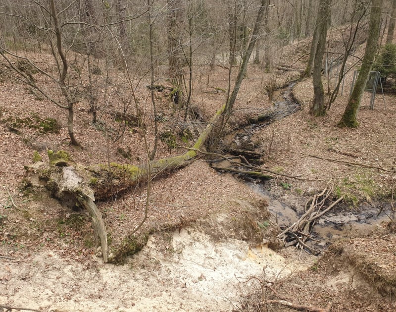 Wokół rezerwatu Grądy nad Lindą" - Lućmierz-Las