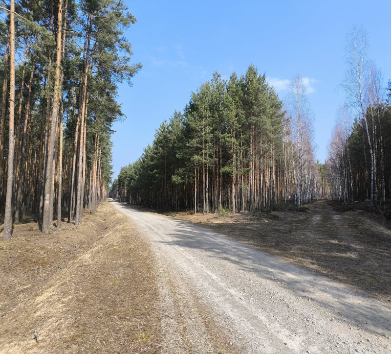 Zespół przyrodniczo krajobrazowy Dąbrowa 2 - Łaziska