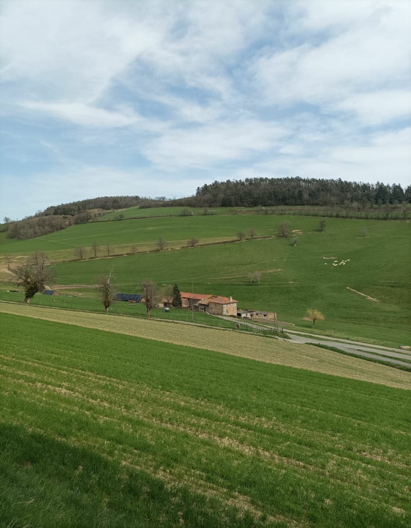 Sur les hauteurs de la Tour-en-Jarez - La Tour-en-Jarez