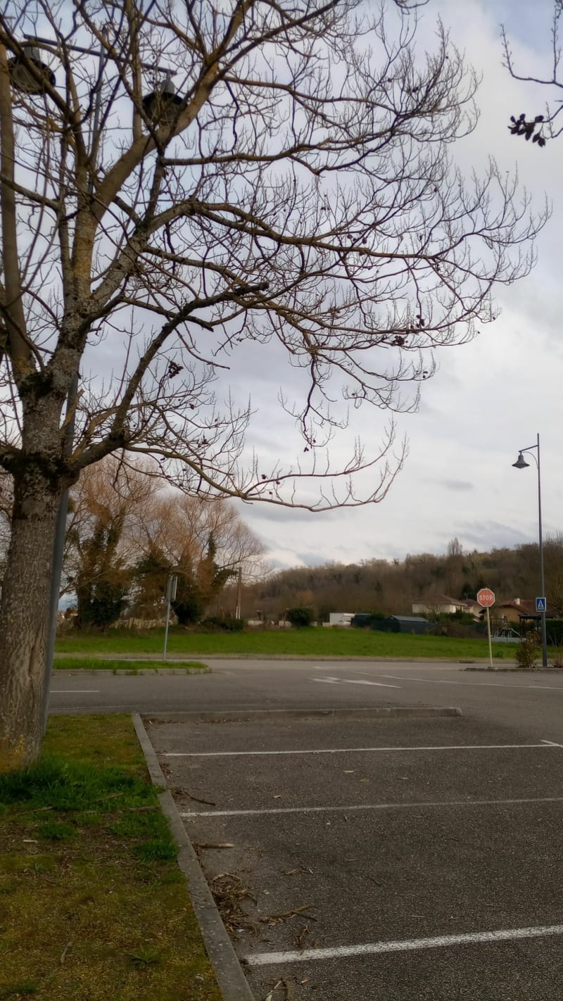Tour de Saint-Chef, par Arcisse - Saint-Chef