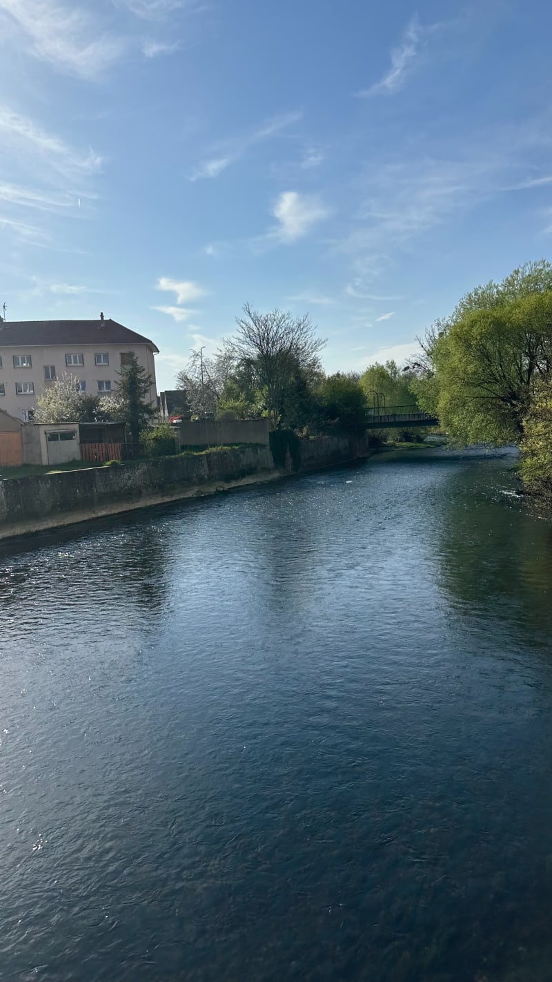 Promenade au Parc de la Colombière - Dijon