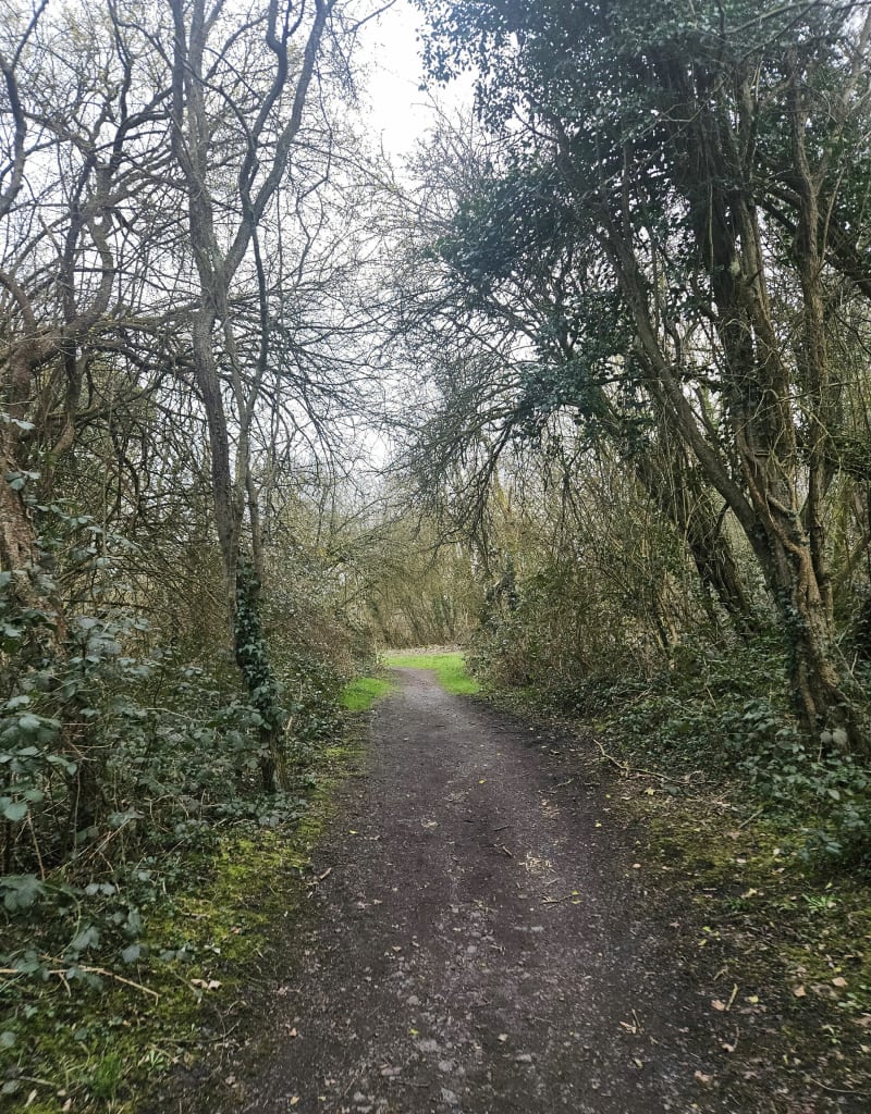 Bois des Bruyères et de Givenchy - Angres