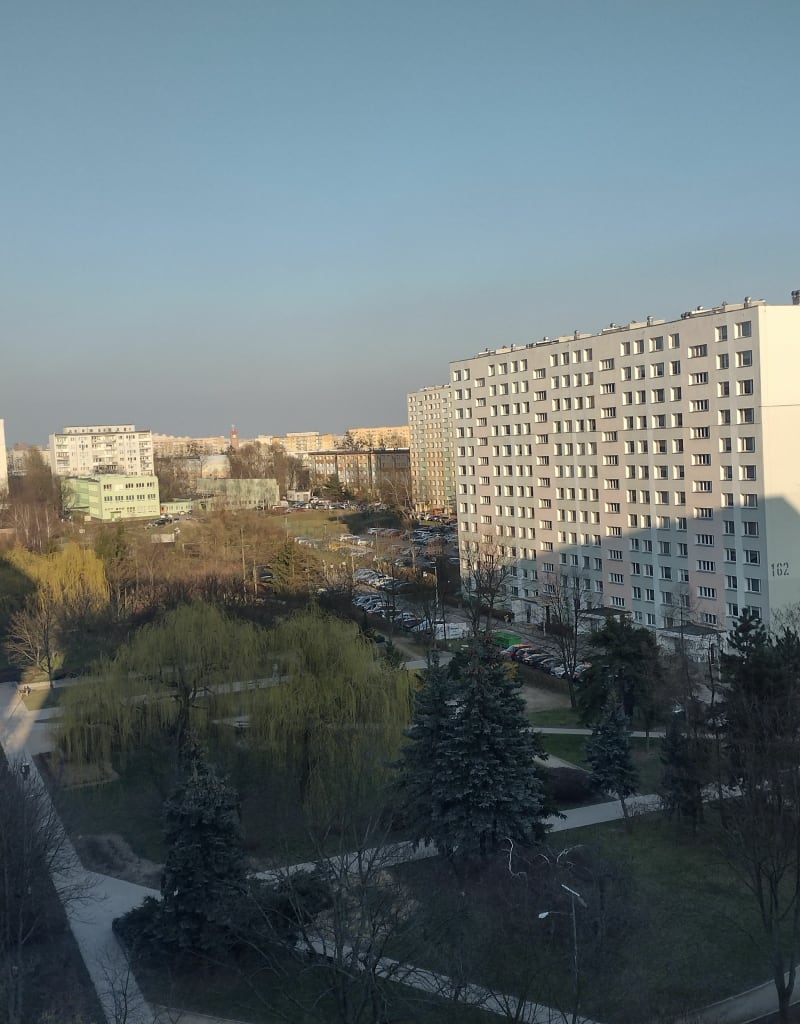 Popołudniowy spacer z psem - Łódź