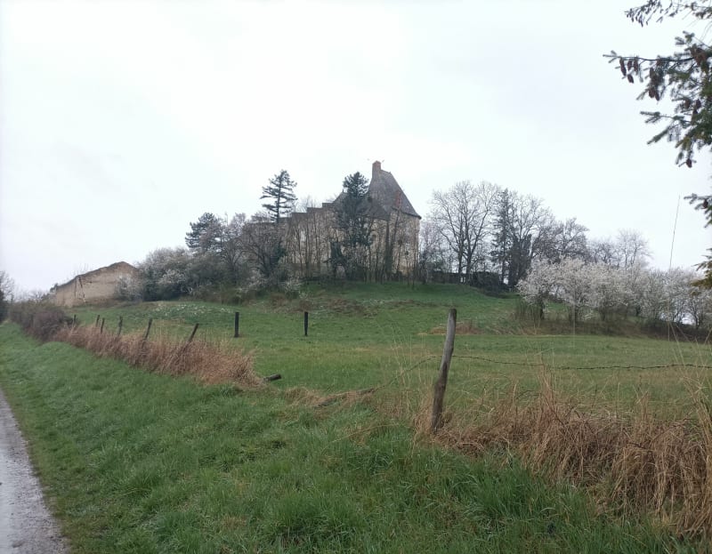 Balade campagnarde entre Saint-Pourçain-sur-Sioule à Louchy-Montfand - Saint-Pourçain-sur-Sioule