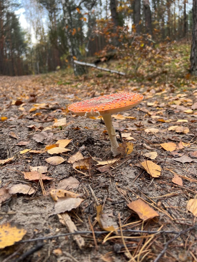 Gravel ride - Warszawa
