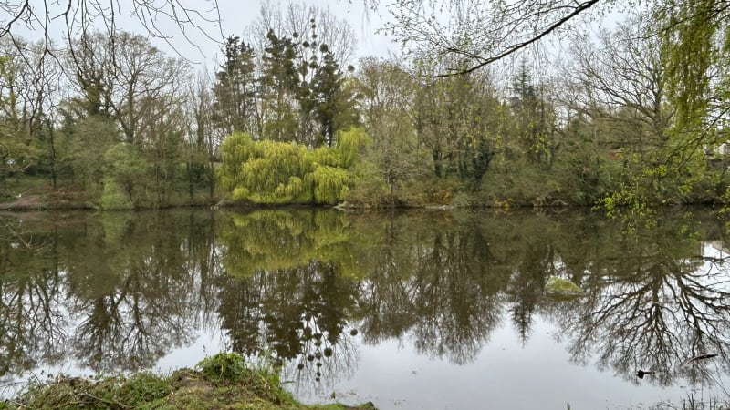 Bord du Lac de la Bultière - La Boissière-de-Montaigu