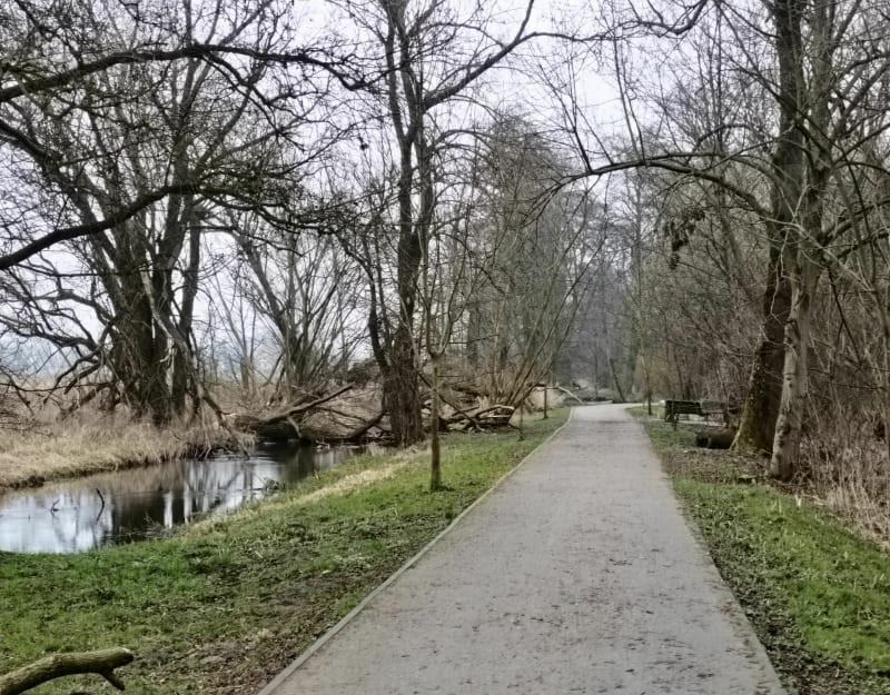 Bieg Oleśnica dwa stawy - Oleśnica