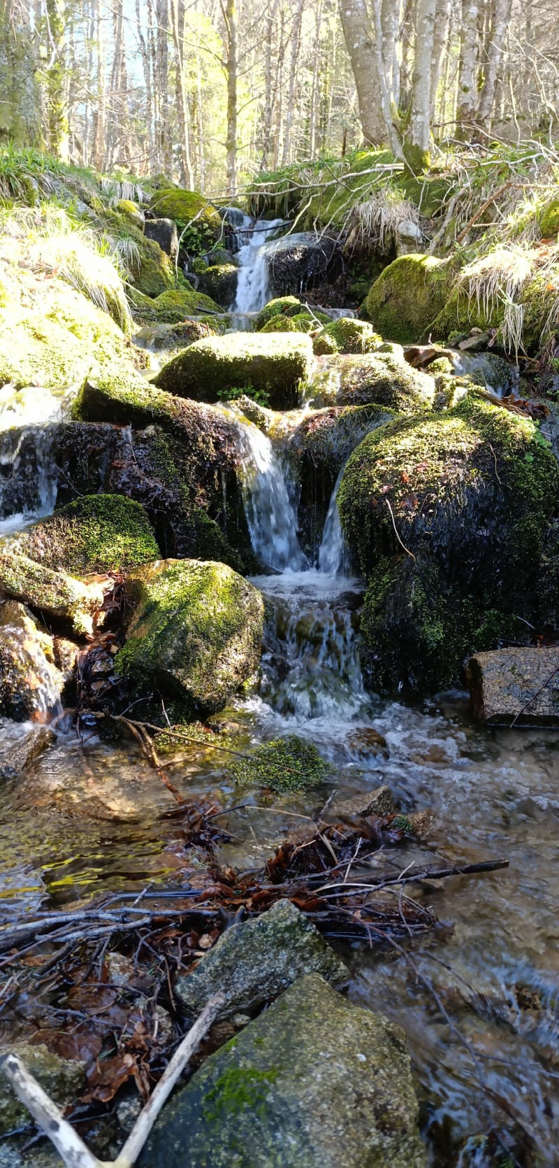 Chalet Le Collet direction le Honneck - Xonrupt-Longemer