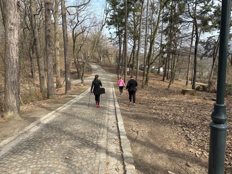 Park Sobieskiego z kijkami nordic walking - Wałbrzych