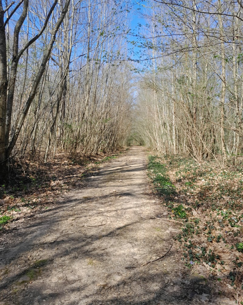 A travers la nature Dompierre, par Bois de Montchamp - Dompierre-sur-Veyle