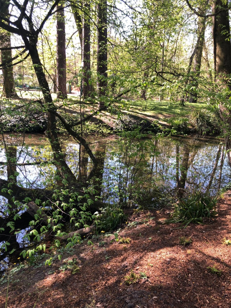 Bois de Vincennes et ruisseau de Gravelle - Paris