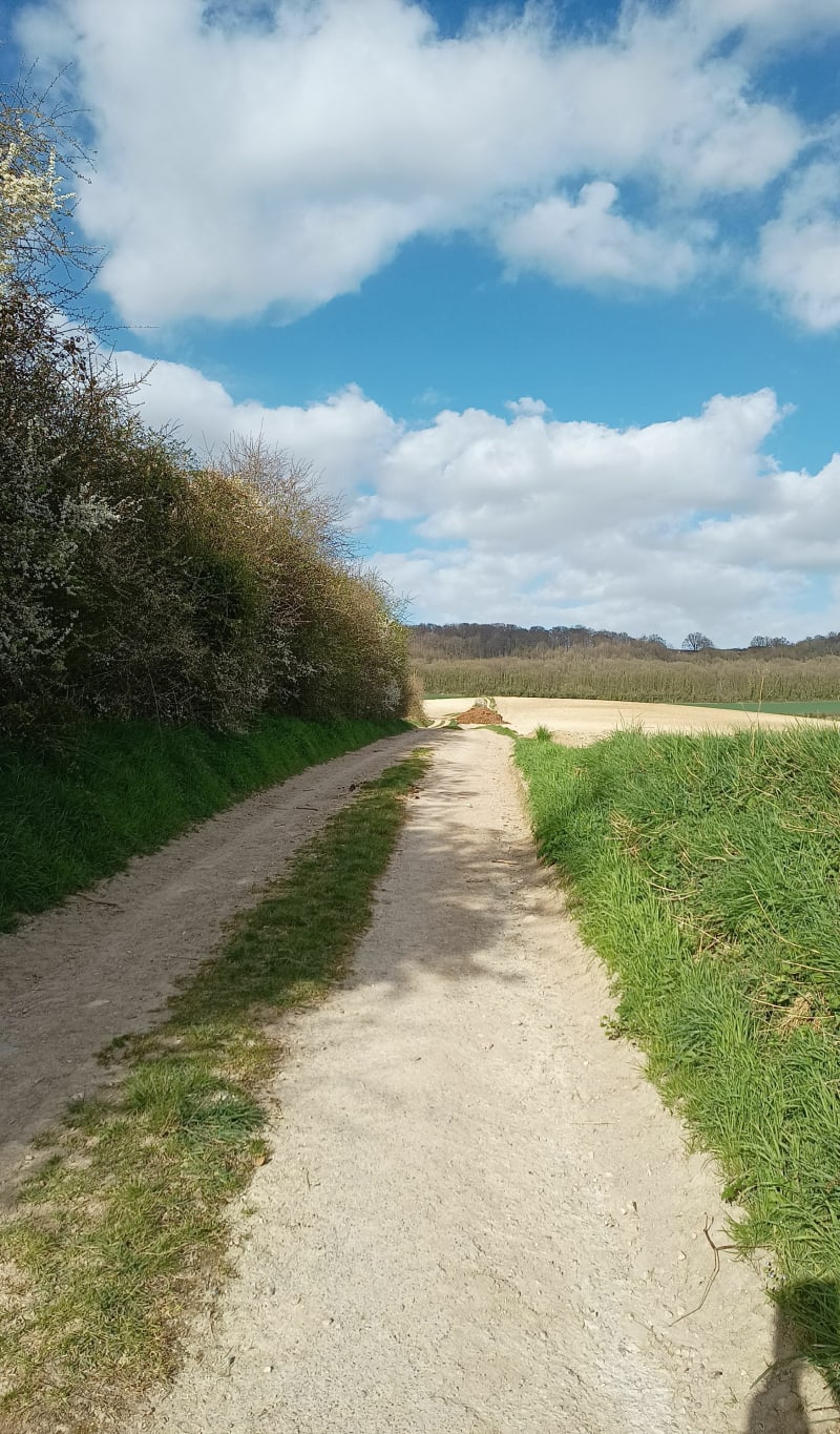 Tour d'Olhain - Rebreuve-Ranchicourt