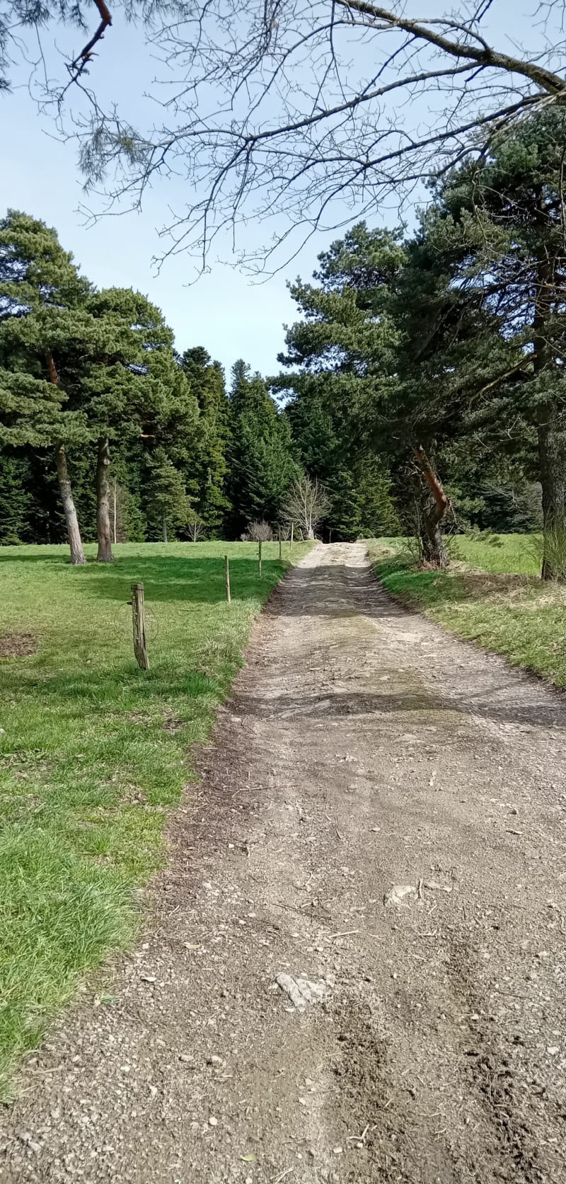 Boucle au départ de St-Romain - Saint-Romain-les-Atheux