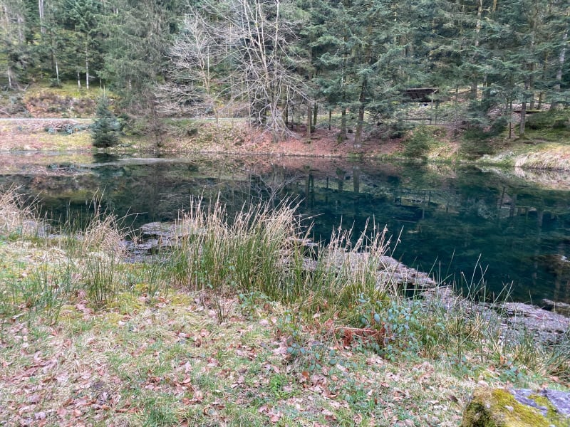 Etang de la Demoiselle et du Renard - Saint-Nabord