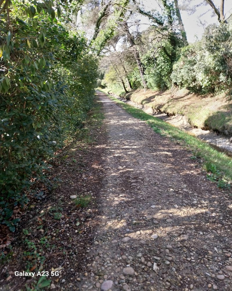 Du côté de Saint-Rémy-de-Provence et le Lagoy - Saint-Rémy-de-Provence